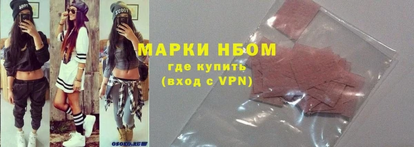 прущие грибы Новозыбков