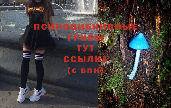 первитин Болотное