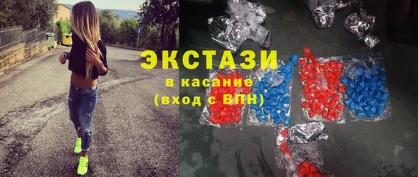 прущие грибы Новозыбков