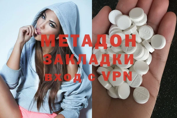 прущие грибы Новозыбков