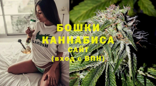 стаф Болохово