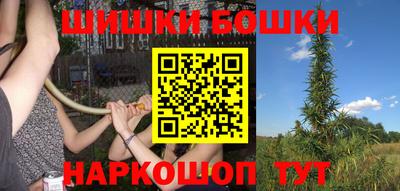 бошки Гатчина