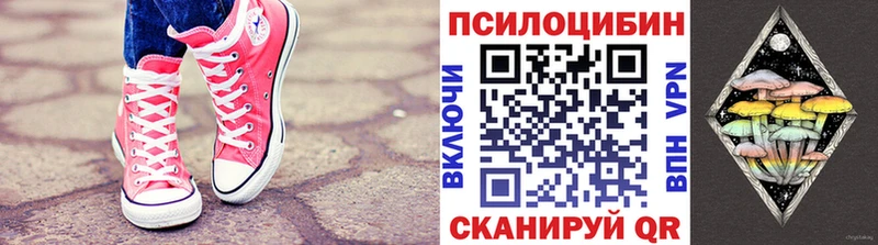 Псилоцибиновые грибы Psilocybe  закладки  Зима 