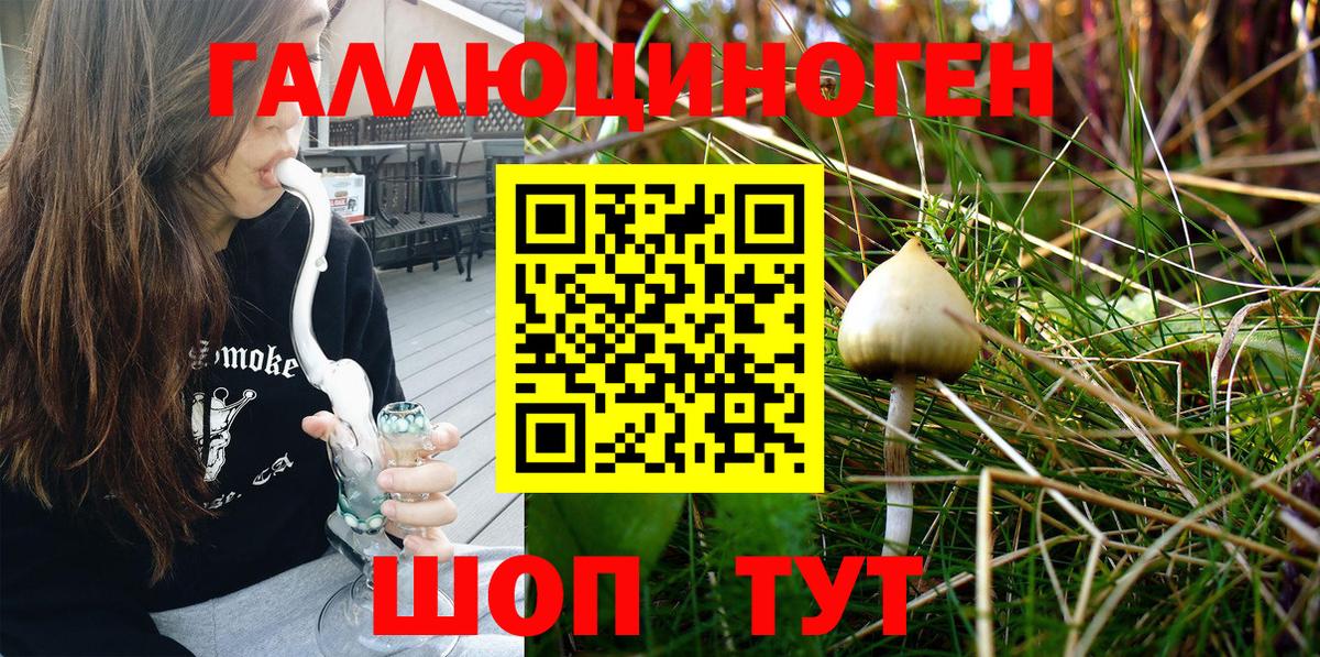 Галлюциногенные грибы Cubensis Зима