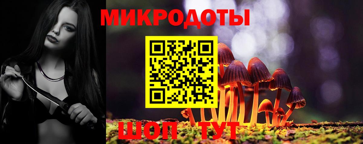 Галлюциногенные грибы MAGIC MUSHROOMS  Вход с VPN  Зима 