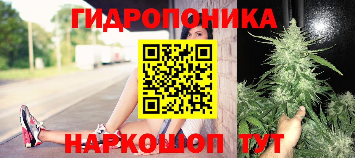 Шишки марихуана Amnesia Зима